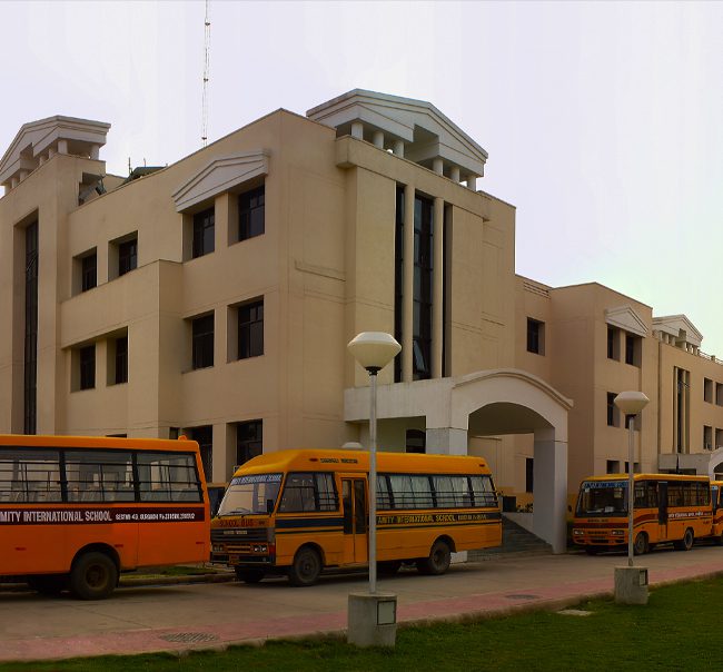 Amity International School, Pushp Vihar, Delhi